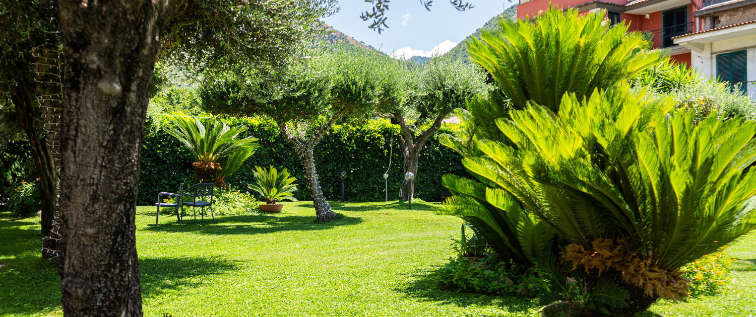 lafratanza-home04